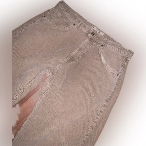 Patagonia Iron Clad Tan Regular Fit Corduroy Pants Classic Organic Cotton 34x30 - Picture 2 of 11